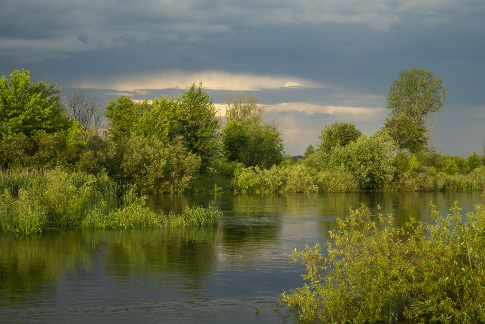 Photograph by Анастасия