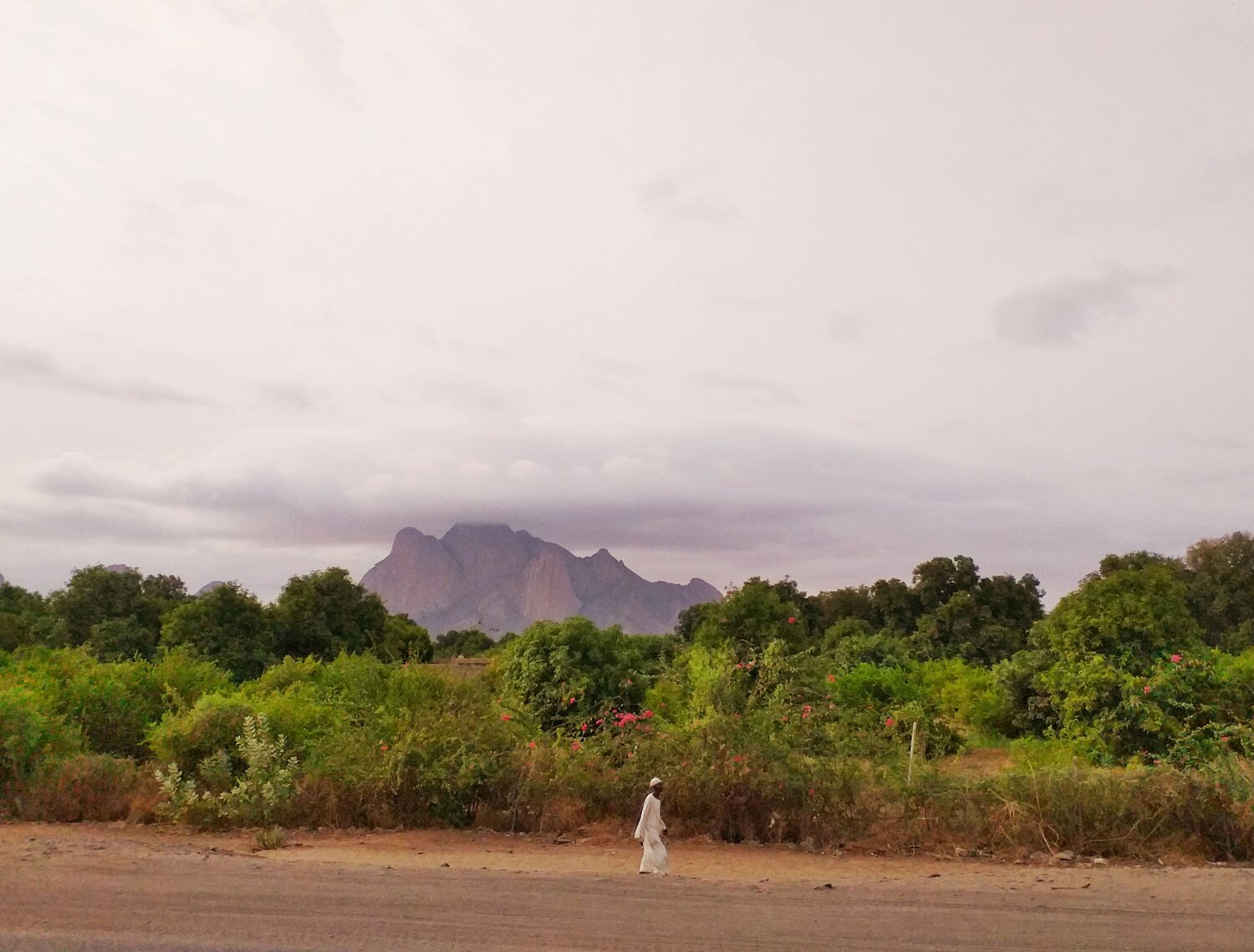 Photo #6181348