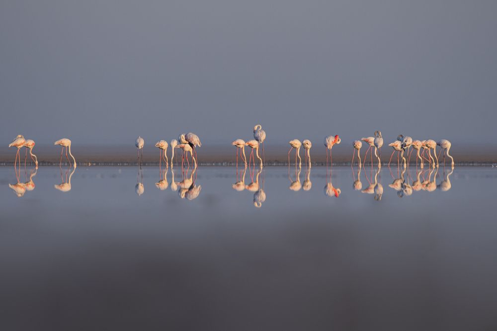 Photograph by Suman Paul