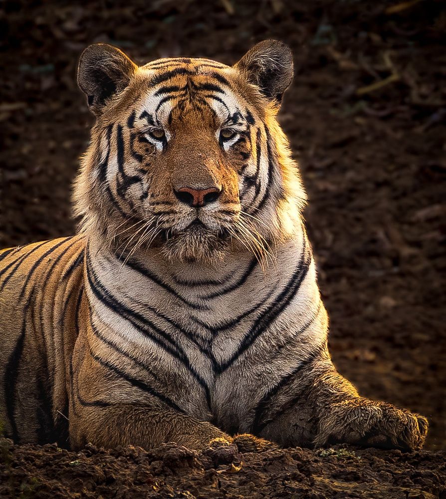 Photograph by USAIDUDDIN QUAZI