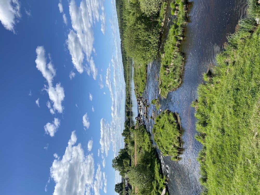 Фотография автора Наталия Гриболева