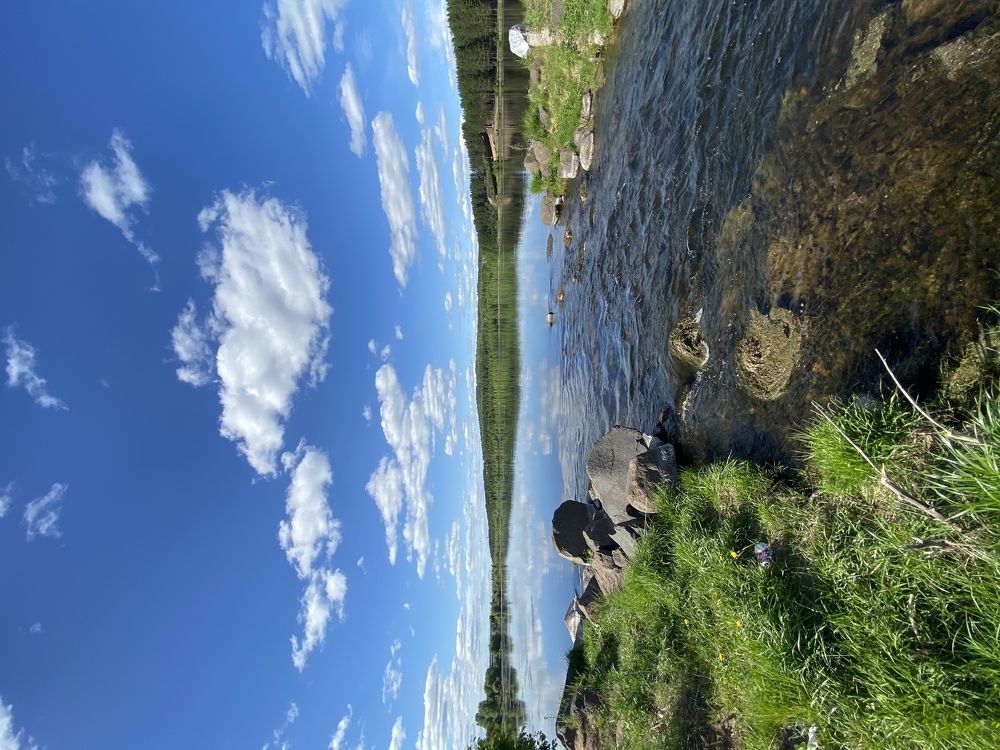 Фотография автора Наталия Гриболева