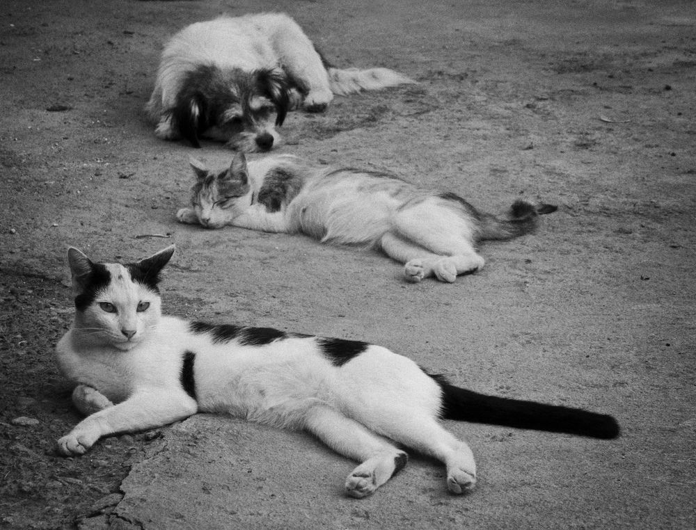 Photograph by Марина Идиатулина