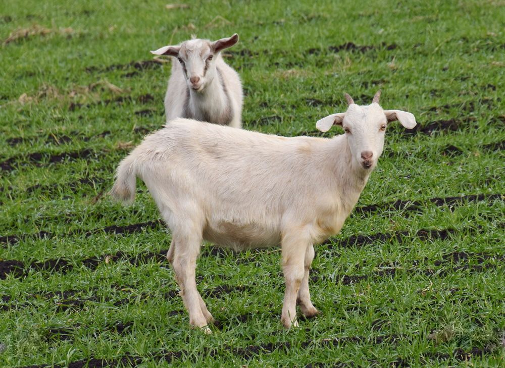 Photograph by Василий Быстрицкий