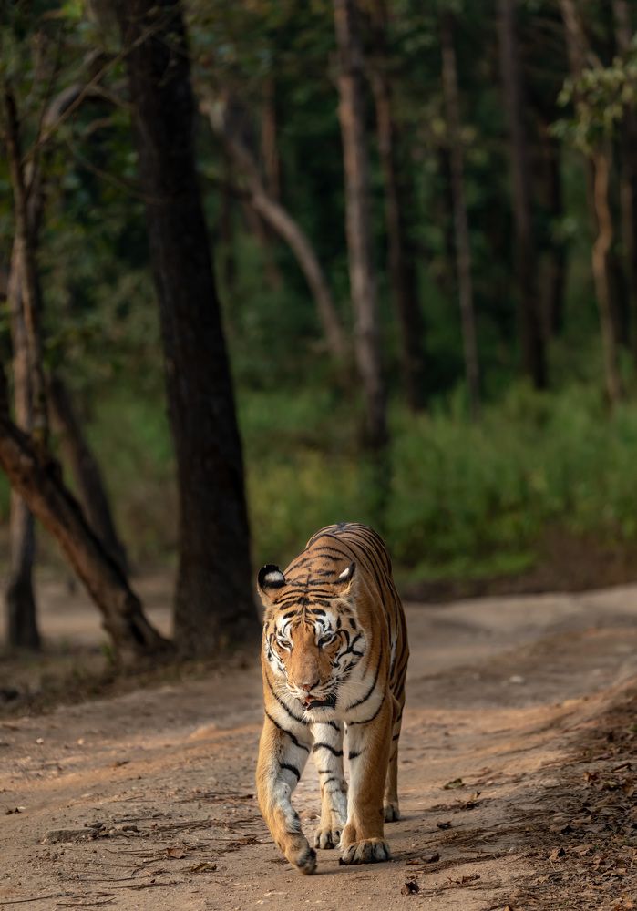 Photograph by USAIDUDDIN QUAZI