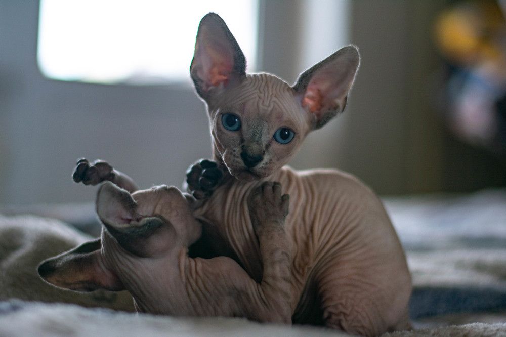 Photograph by Ксения Илюшина