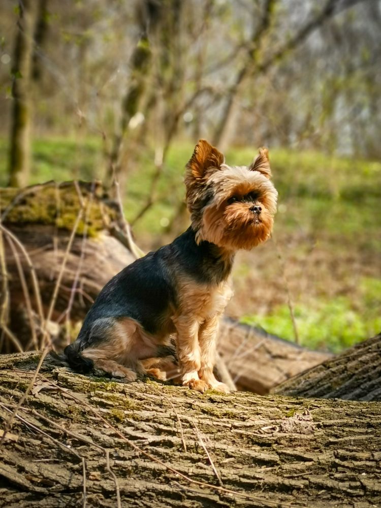 Photograph by Сергей Григорьев