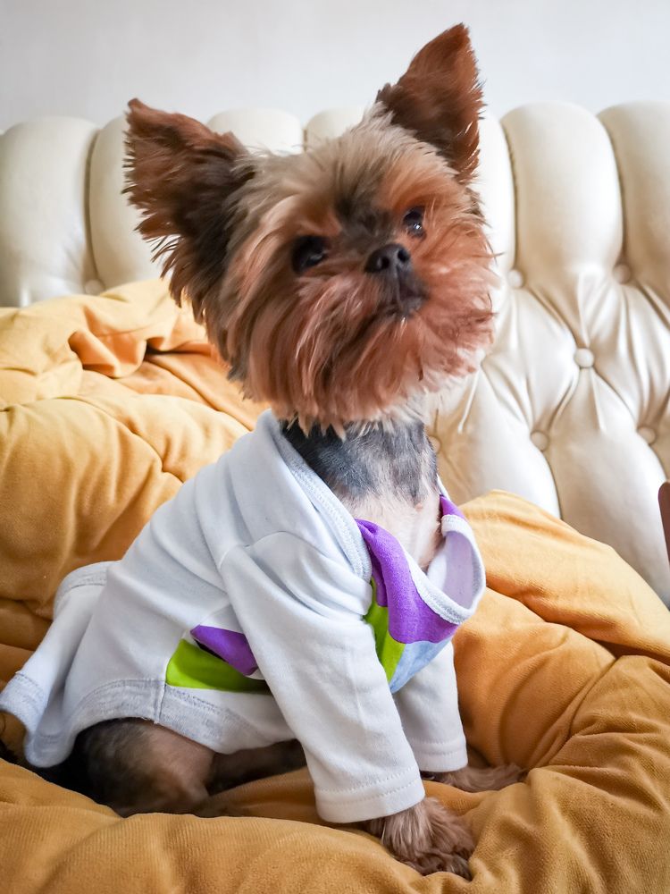 Photograph by Сергей Григорьев