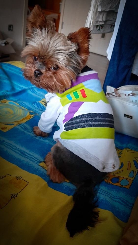 Photograph by Сергей Григорьев