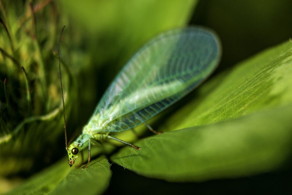 Photograph by Нина Минченко