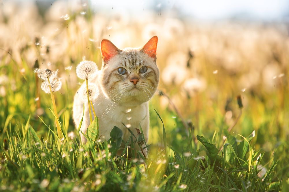 Photograph by Светлана Федоренко