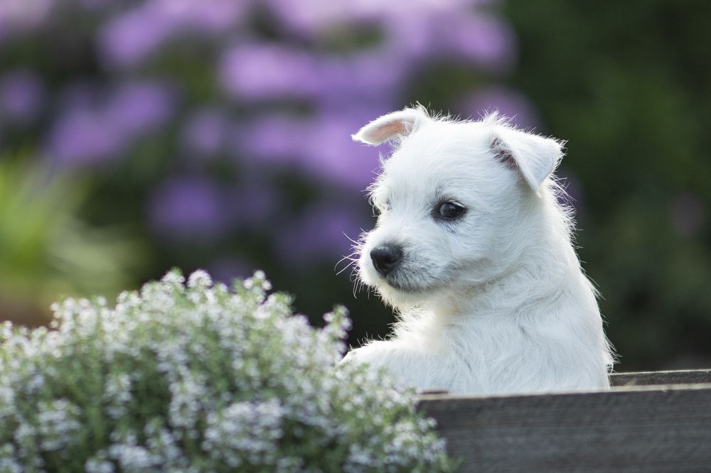 Photograph by Ernestas Balcikonis