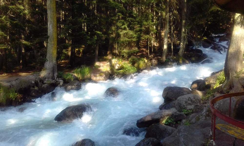 Photograph by Елена Малкова