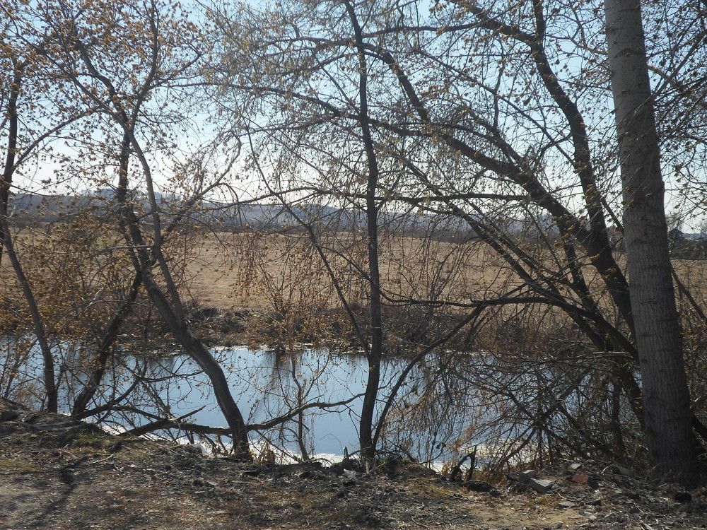 Photograph by Лида