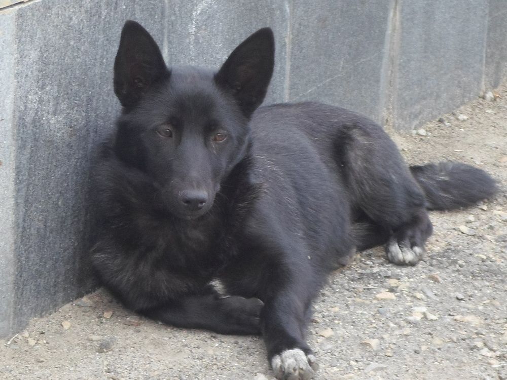 Photograph by Лида