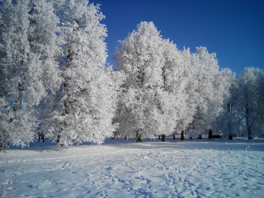 Photograph by Екатерина Познякова