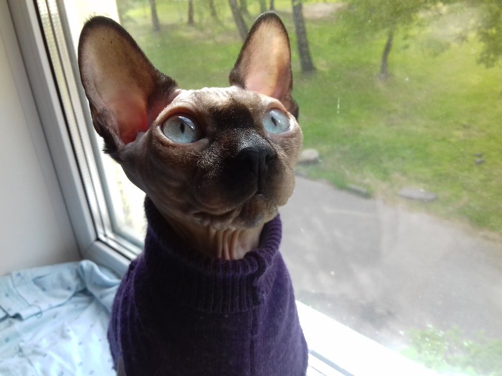 Photograph by Екатерина Познякова