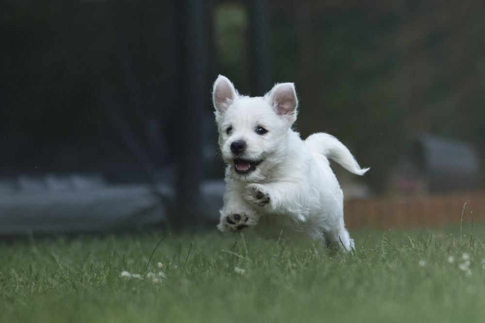 Photograph by Ernestas Balcikonis