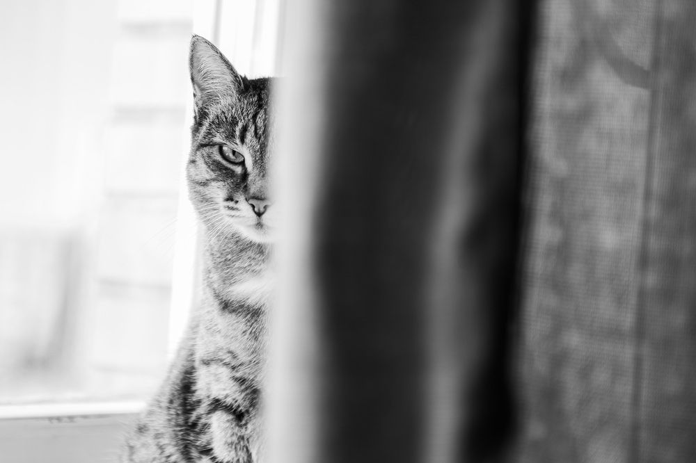 Photograph by Иван Трашков