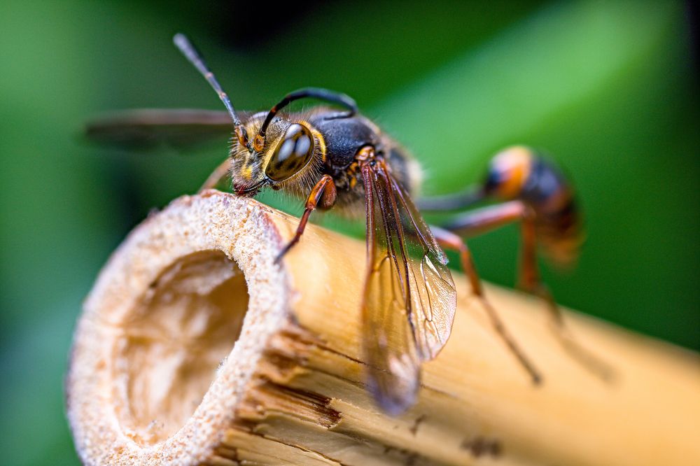 Photograph by Tomas Hora