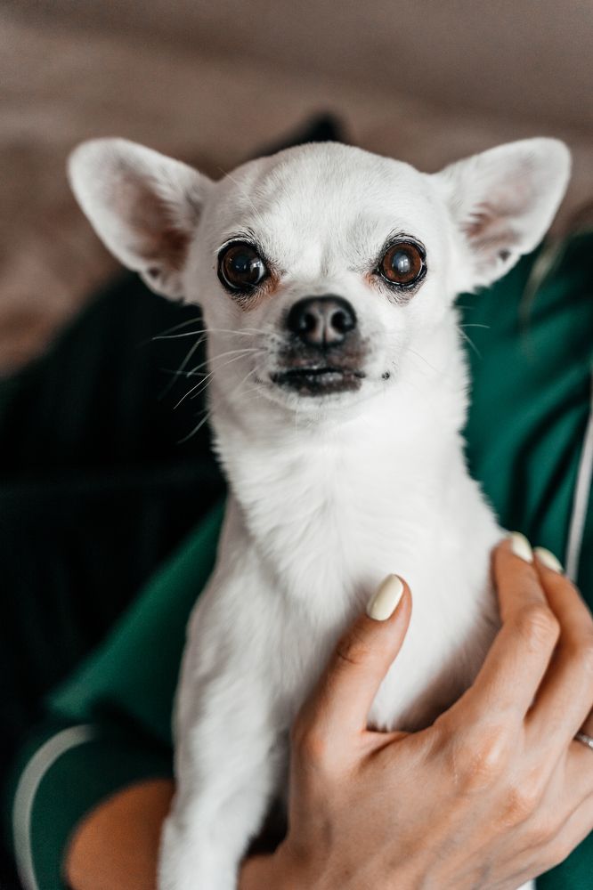 Photograph by Katsiaryna Yarmantovich