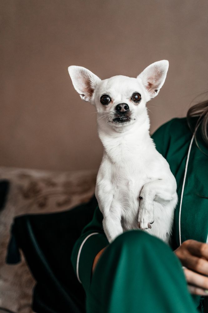 Photograph by Katsiaryna Yarmantovich