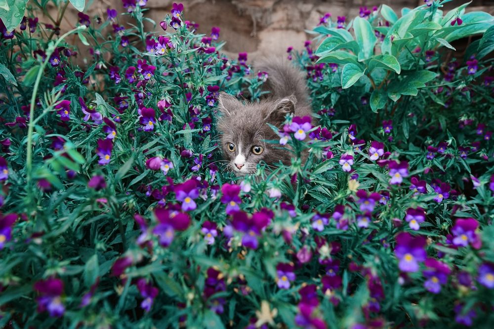 Photograph by Ольга Шибяева