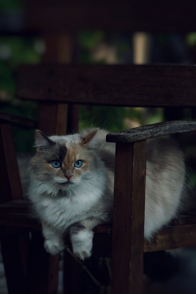 Photograph by Юлия Марфонова