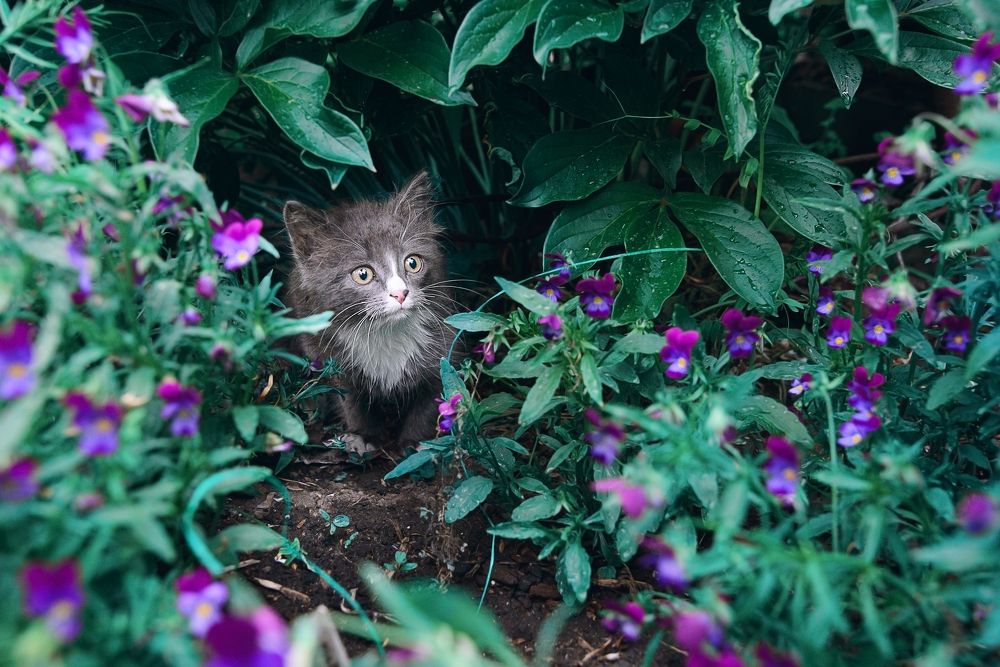 Photograph by Ольга Шибяева