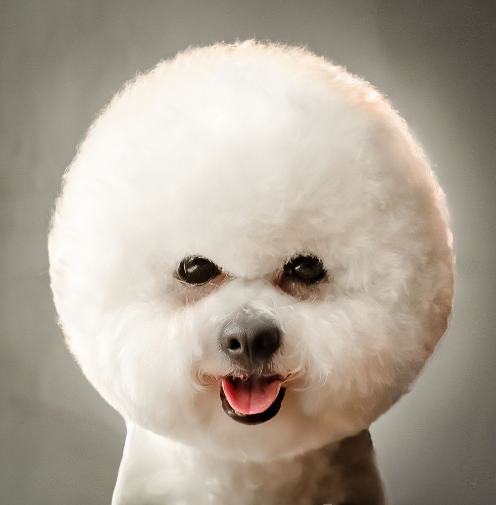 Photograph by Валентина Волкова