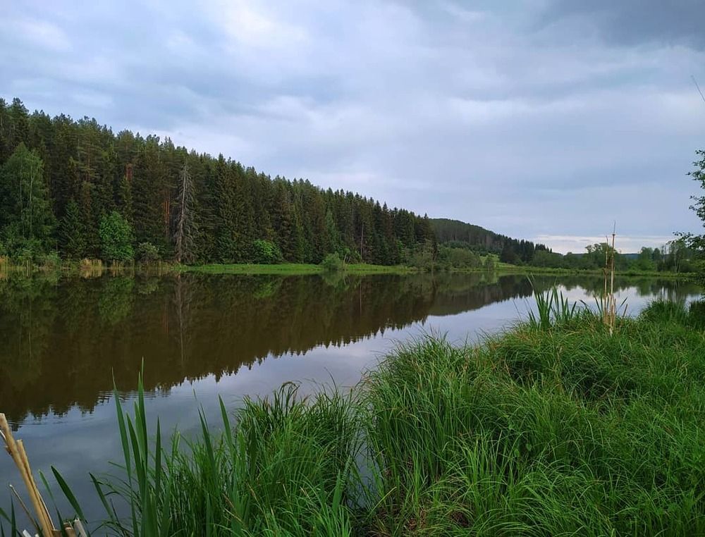 Рыбалка на озере