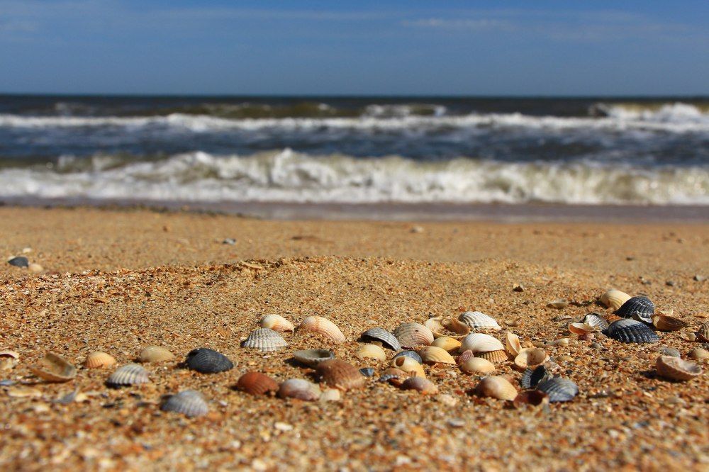 Photograph by Наталья Лукьянчук