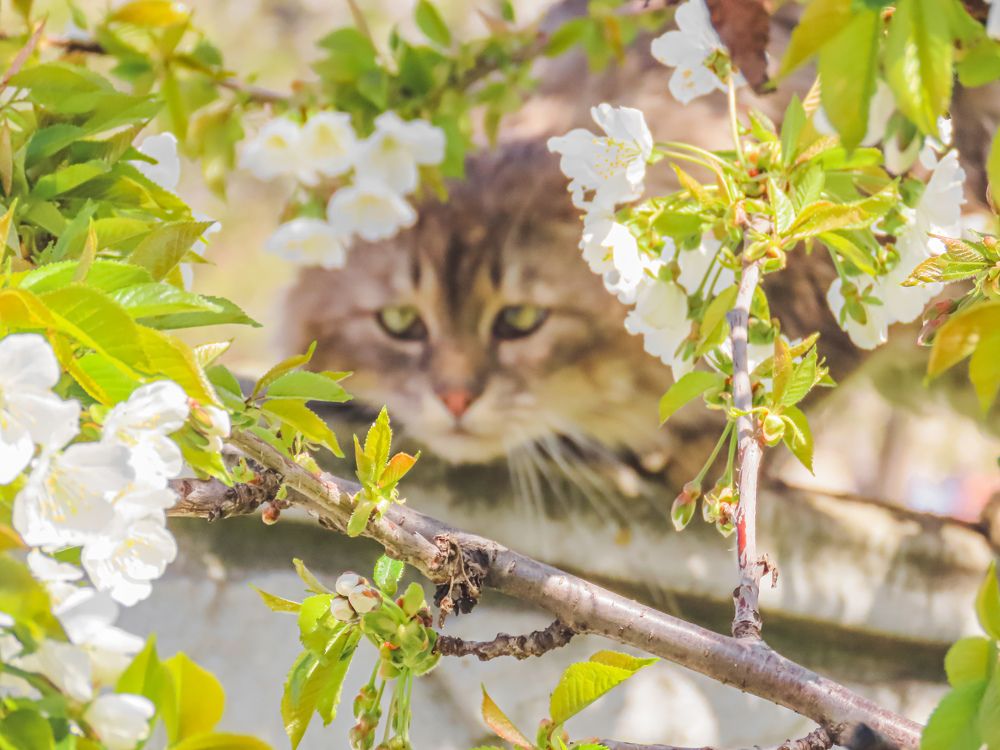 Photograph by Юлия Ключик