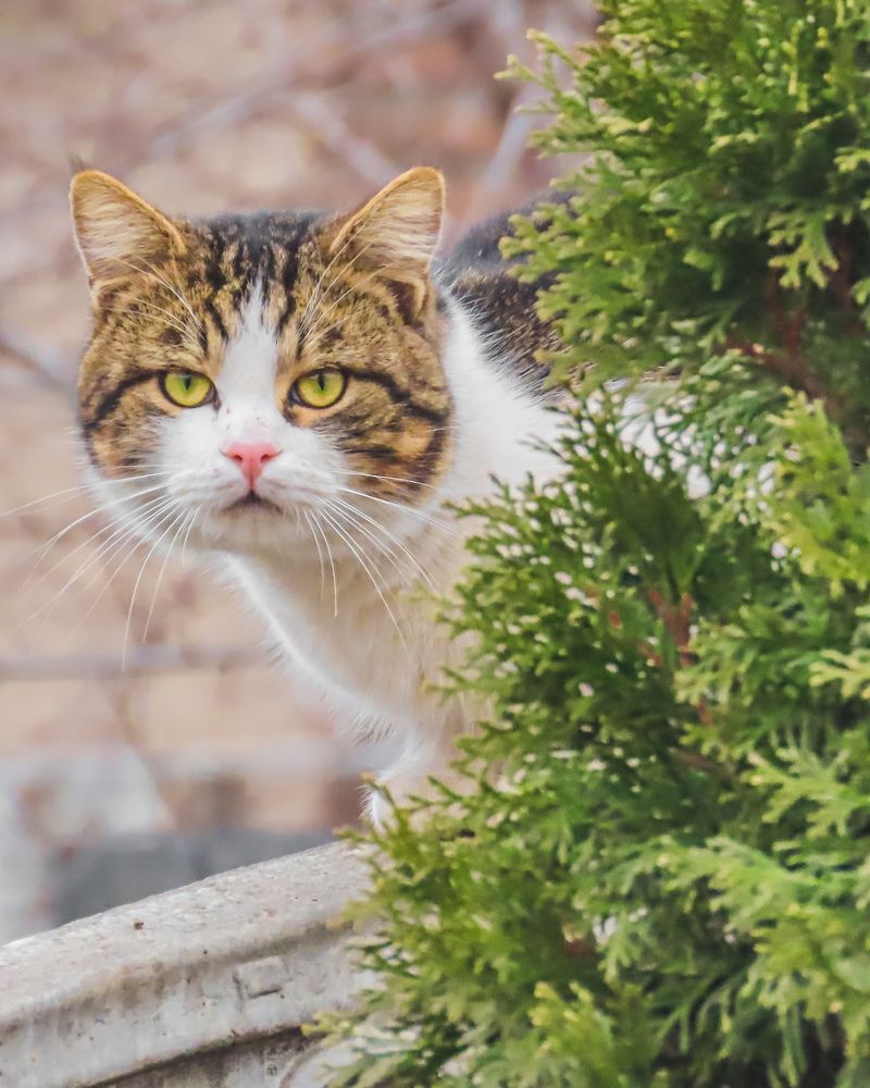 Photograph by Юлия Ключик