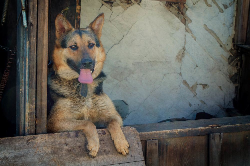 Photograph by Игорь Голубев