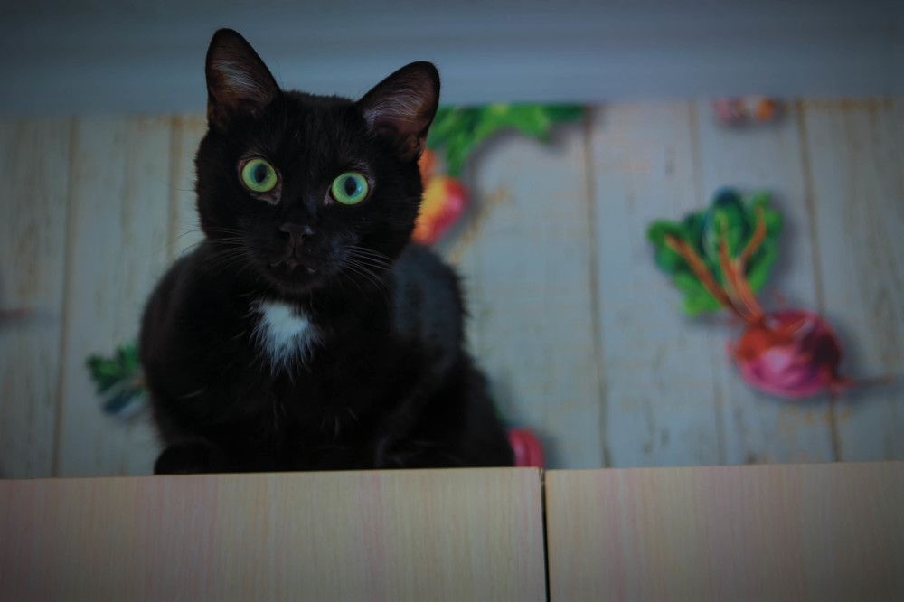 Photograph by Игорь Голубев