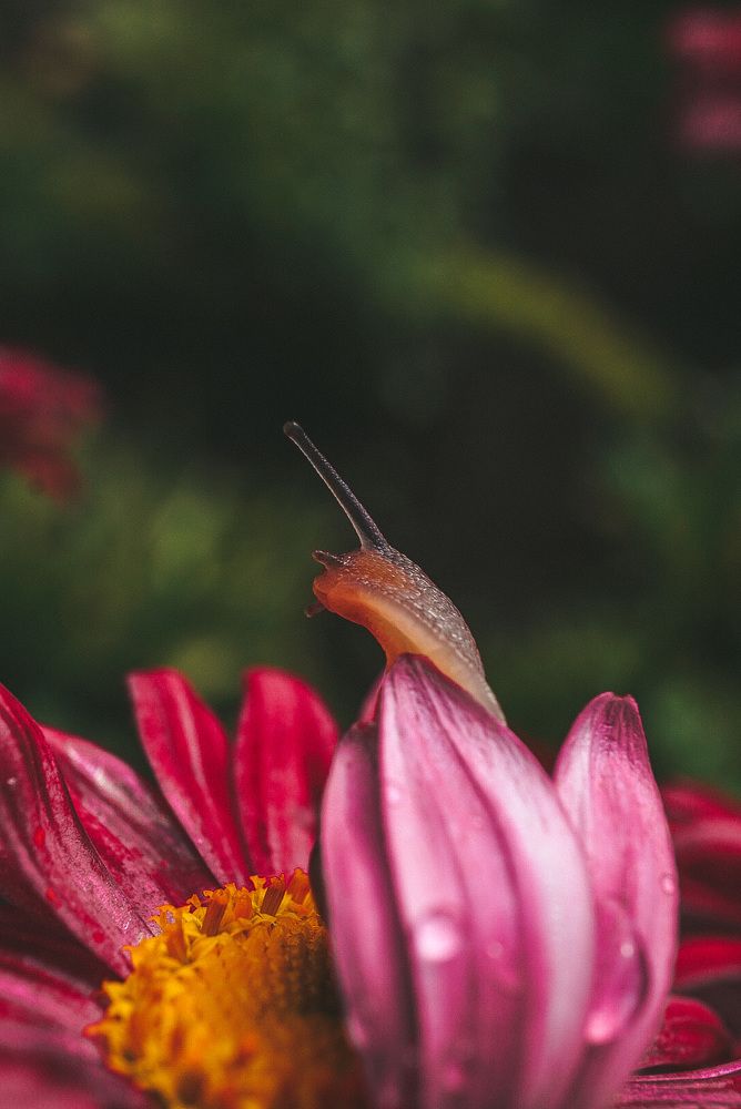 Photograph by Ксения Леонова