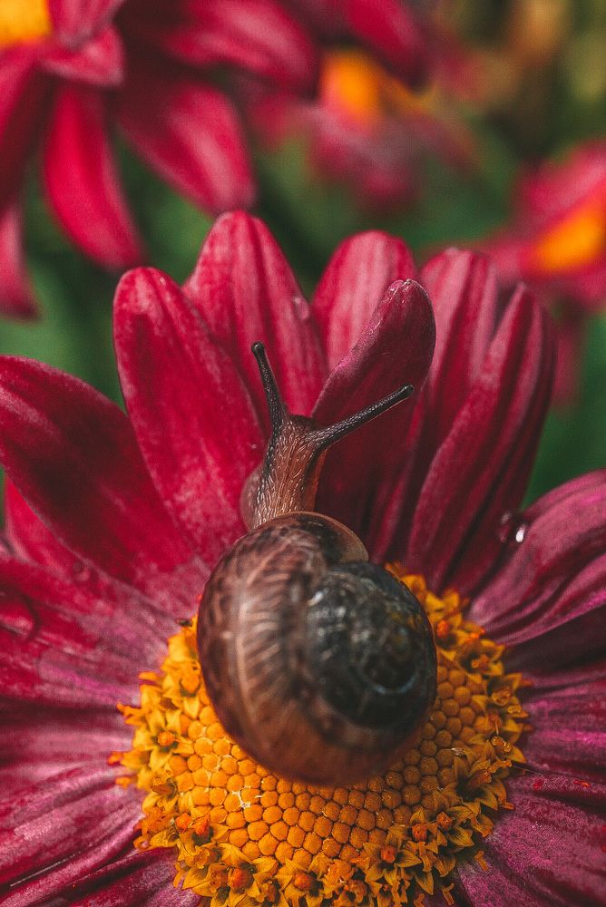 Photograph by Ксения Леонова