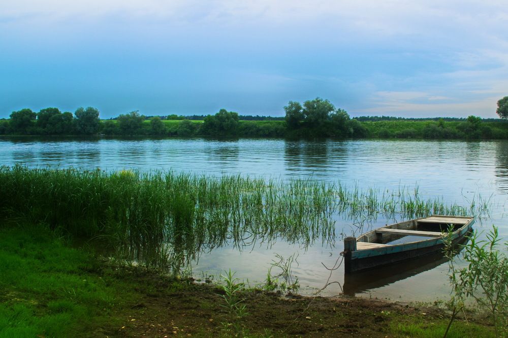 Photograph by 