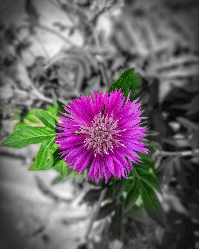 Photograph by Михаил Пасынков