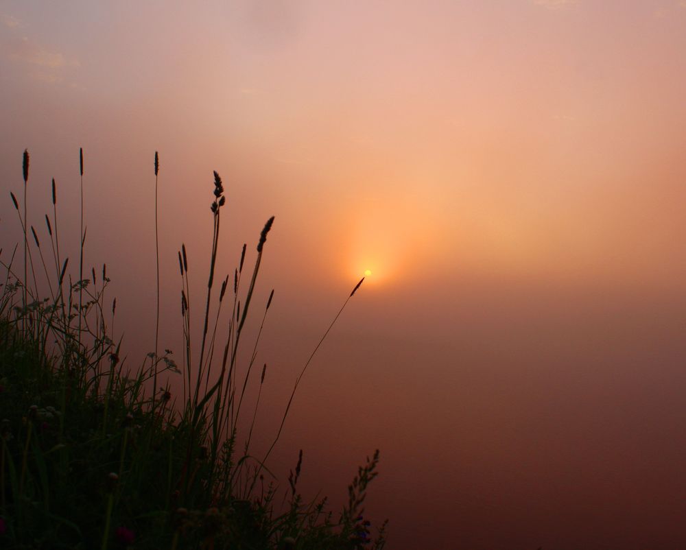 Photograph by Наталия Никитинская