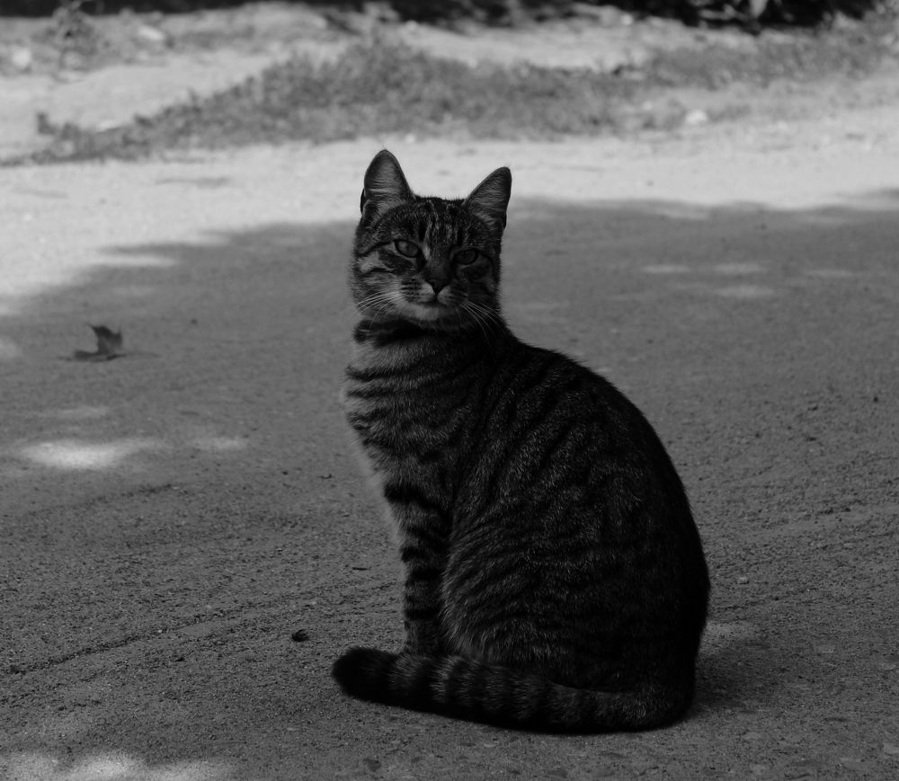 Photograph by Кристина Полякова