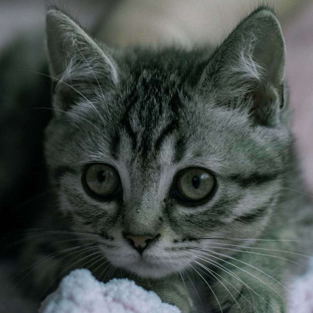 Photograph by Таисия Стафеева