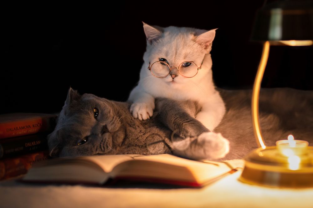 Photograph by Veronika Blažeková