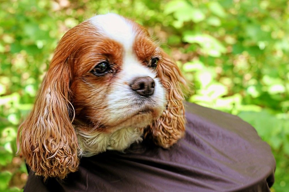 Photograph by Lena Feldman