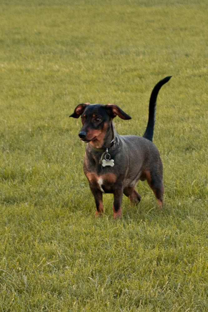 Photograph by Таисия Стафеева