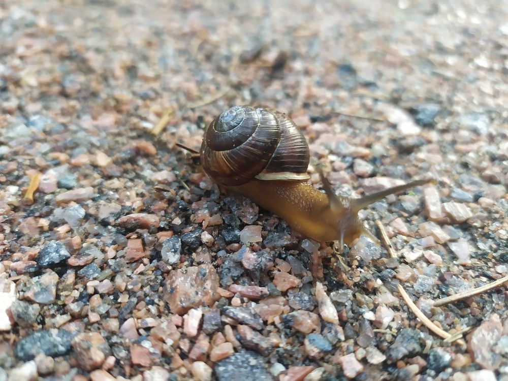 Photograph by Анастасия Солодкая