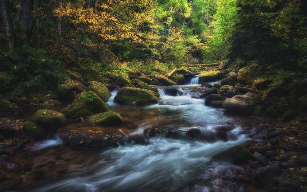 Шантацара...