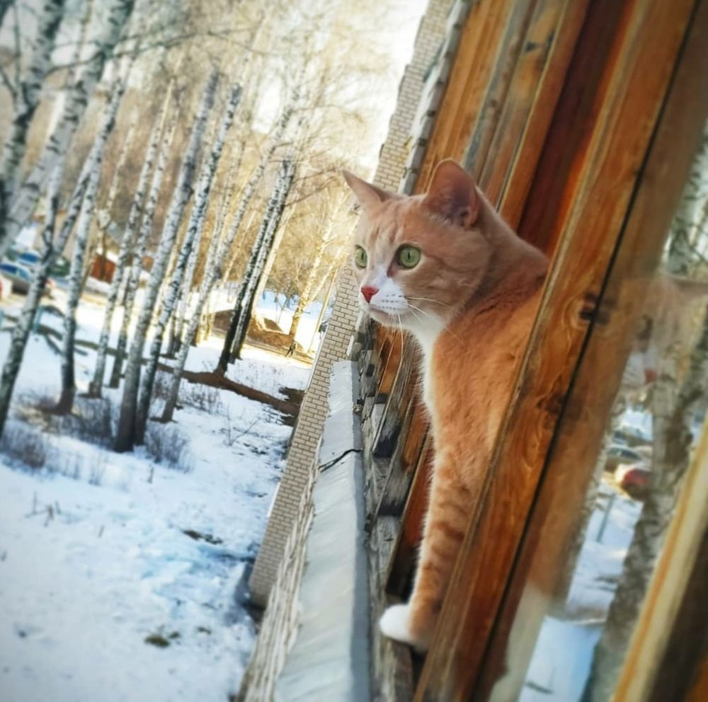 Весна пришла