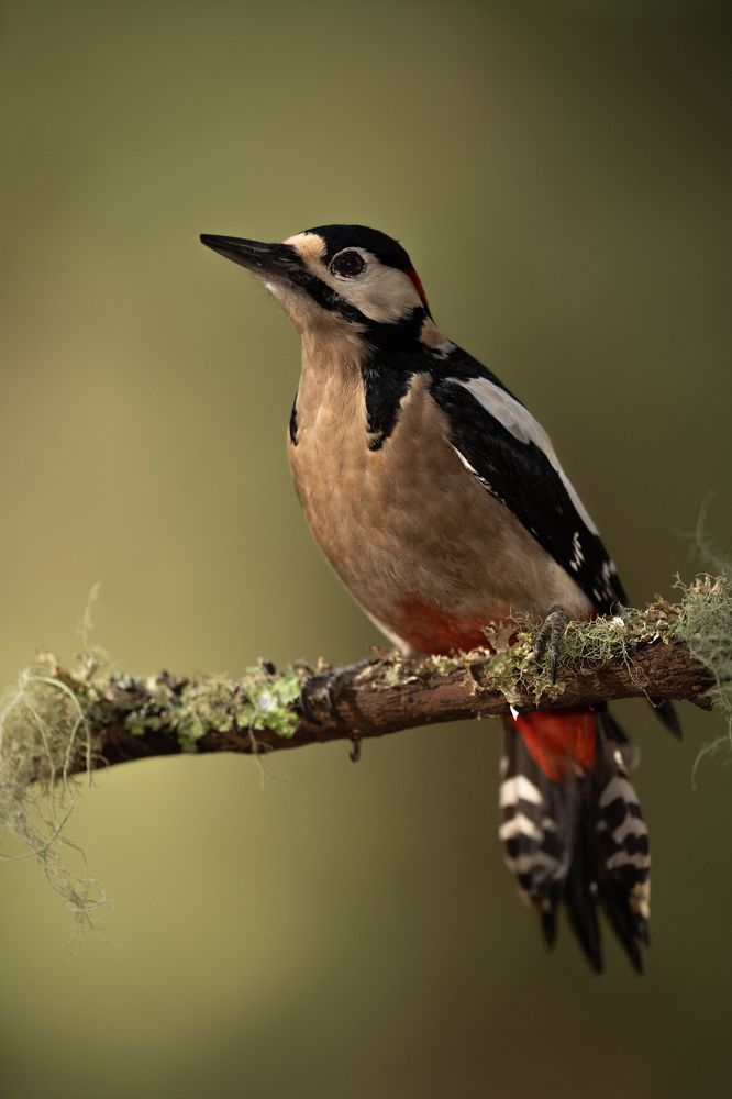 Photograph by Daniel Brockner